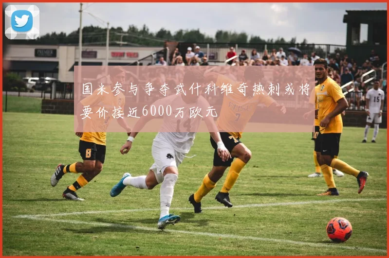 国米参与争夺武什科维奇热刺或将要价接近6000万欧元