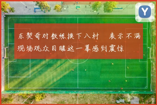东契奇对教练换下八村塁表示不满现场观众目睹这一幕感到震惊
